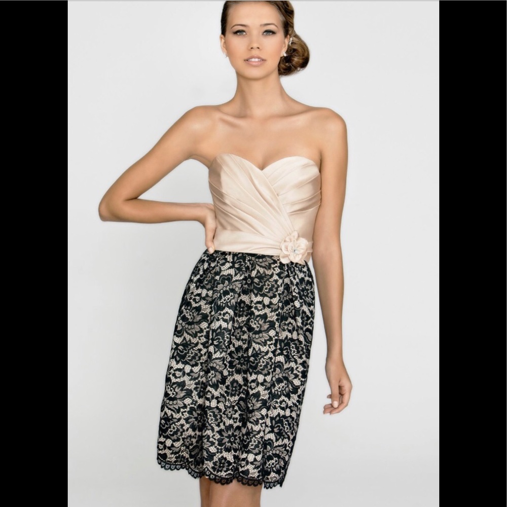 NWT Alexia Designs Cocktail Dress